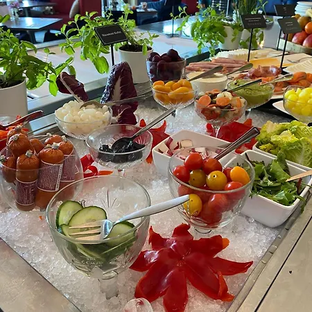 海牙斯海弗宁恩阿姆拉斯哈库尔豪斯大酒店 5* 海牙