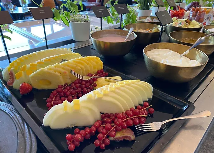 酒店 海牙斯海弗宁恩阿姆拉斯哈库尔豪斯大酒店 海牙